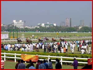 10909.jpg