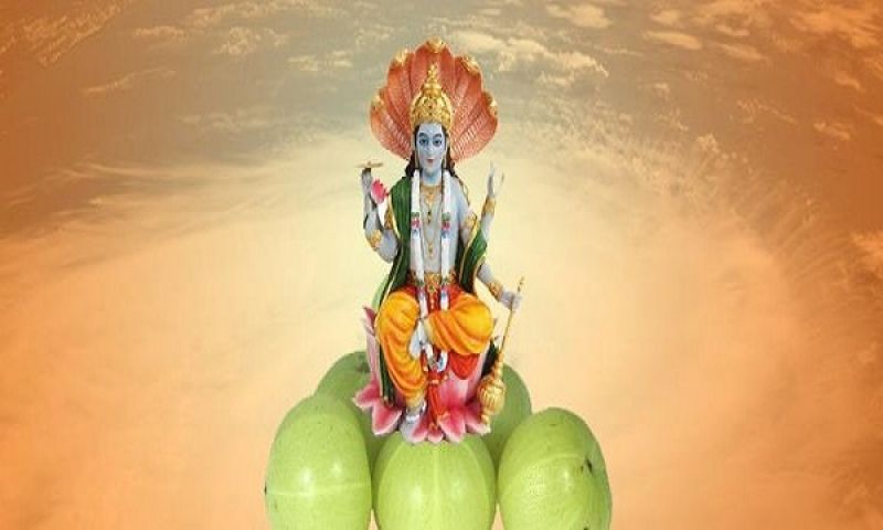 आमलकी एकादशी व्रत आमलकी एकादशी व्रत
