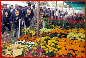 Chandigarh.jpg