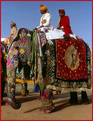 Elephant1.jpg