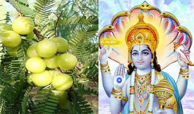 आमलकी एकादशी