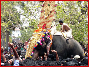 Pooram Elephant
