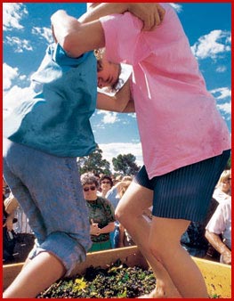 Grape Festival