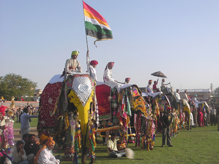 Elephant Festival