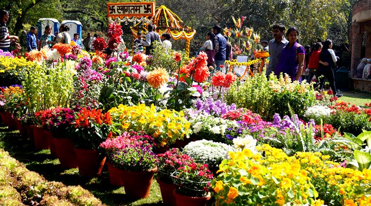 उद्यान पर्यटन उत्सव