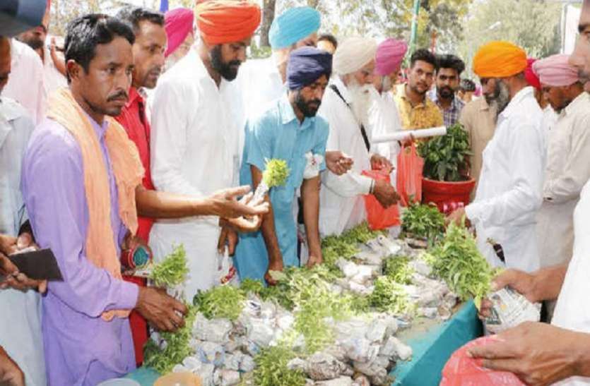 किसान मेला किसान मेला