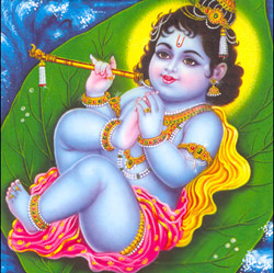 krishna1.jpg