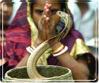 Nag Panchami