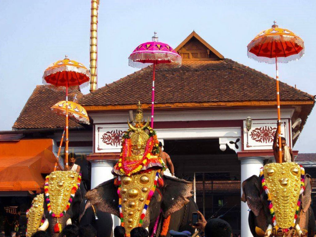 वैकाष्टमी उत्सव वैकाष्टमी उत्सव
