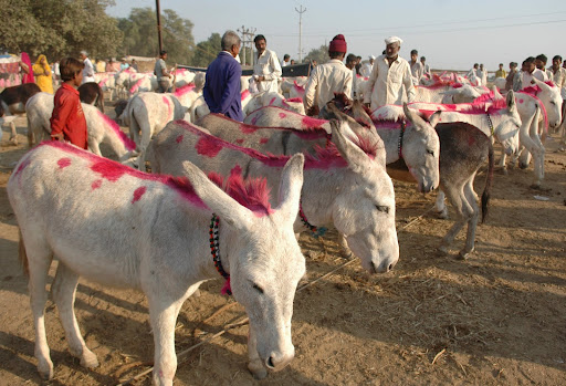 वौठा मेला